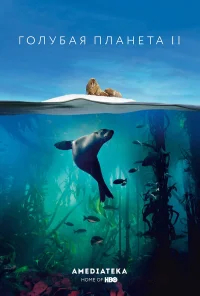 Голубая планета 2 бесплатно